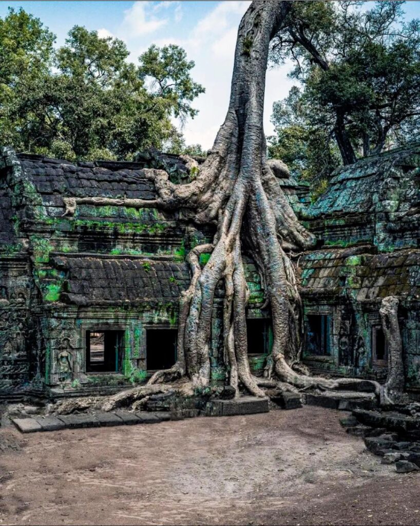 Ta Prohm Unveiled: Exploring the Haunted Elegance of Cambodia’s Legendary Temple