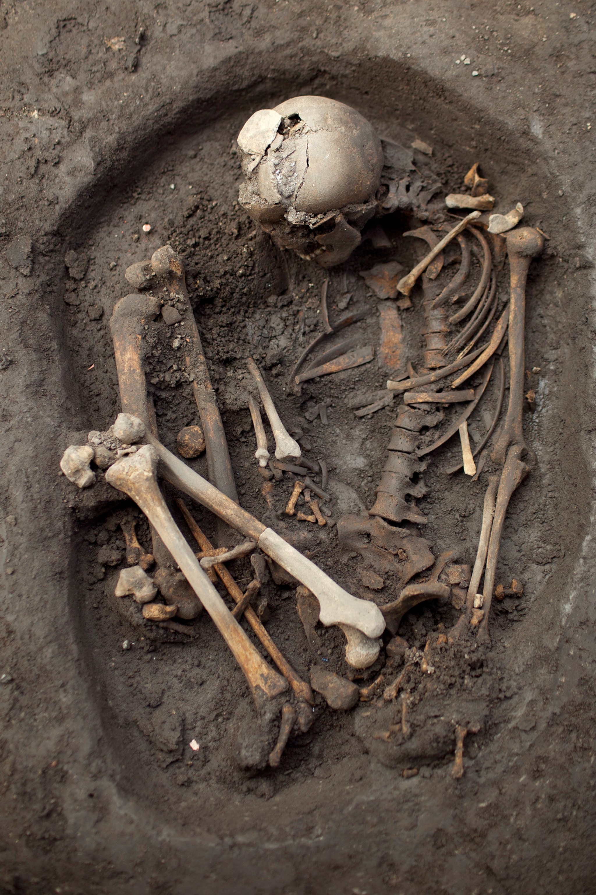 Pictures: "Important" Aztec Child Burials, Sacrifices Found in Mexico City