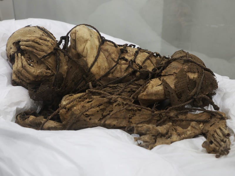 Peru: Pre-Inca Mummy Found Tied in Fetal Pose, Clasping Hands to Face - Business Insider