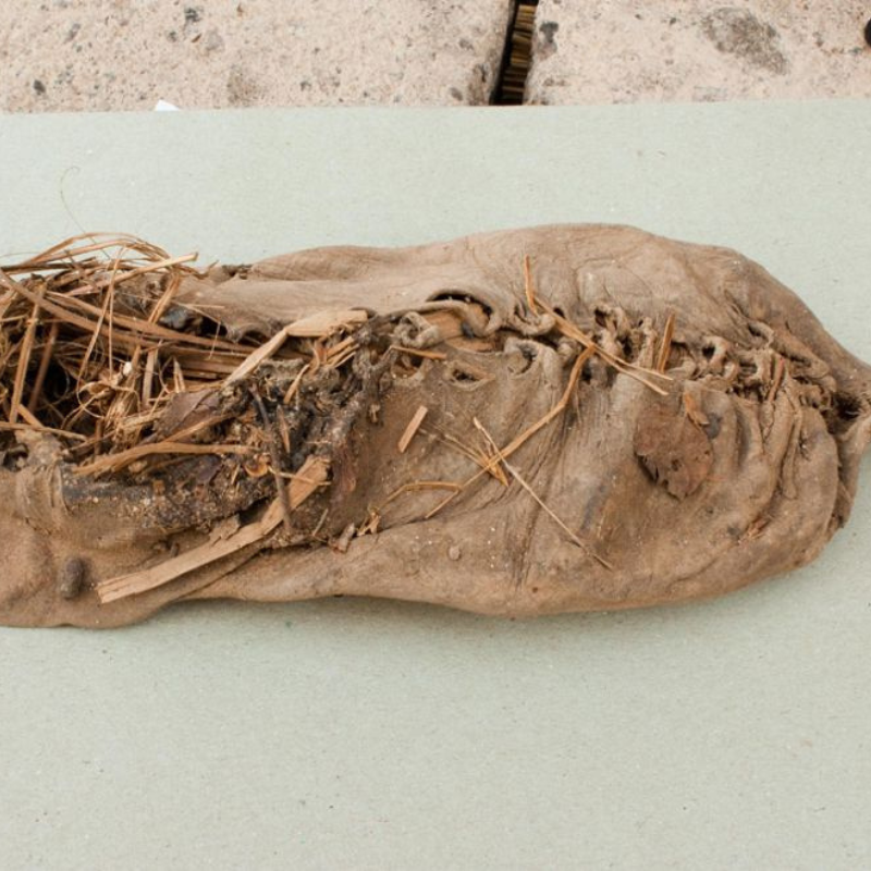 Incredible discovery: Shoes, Socks, and Skates Insights into Viking Footwear