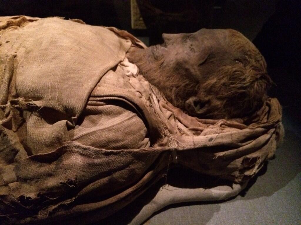 Andrew Ellis Evans on X: "A bona fide mummy, w/ red hair & beard, from the Roman occupation of ancient Egypt (@300 AD) @hmns. http://t.co/GYSAbMpyXq" / X