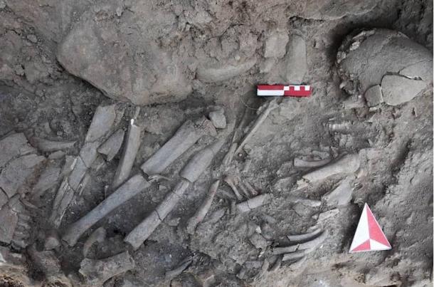 The burial of the ‘shaman’ included a woman curled up on her right side and accompanied by a variety of animal bones. (Associate Professor Doctor Ergül Kodaş/Anthropology Journal)