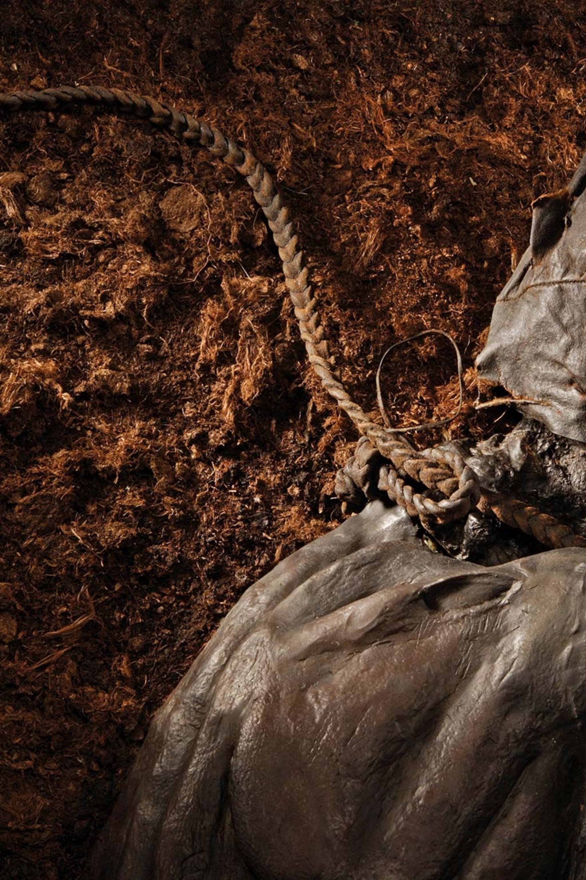 We thought we knew the secrets of Europe's bog bodies. We didn't.