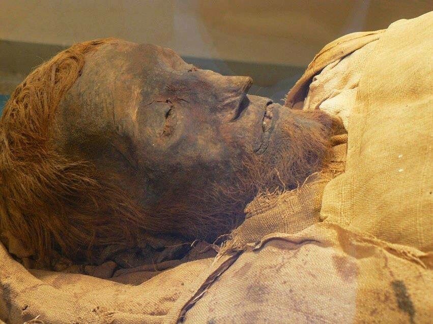 Unveiling the Mysteries of the Bearded Egyptian Mummy: General Ossipumphnoferu