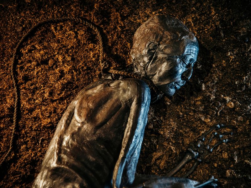 Exploring Scandinavia’s Enigmas: Investigating Over 1,000 Corpses, Including Famous Peatland Mummies