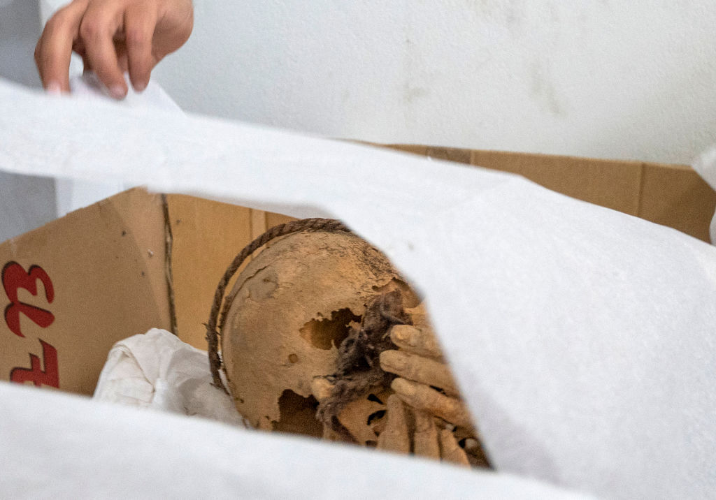 Mummy in Fetal Position, Bound by Rope Found Next to Dog and Guinea Pig in Peruvian Tomb - Newsweek