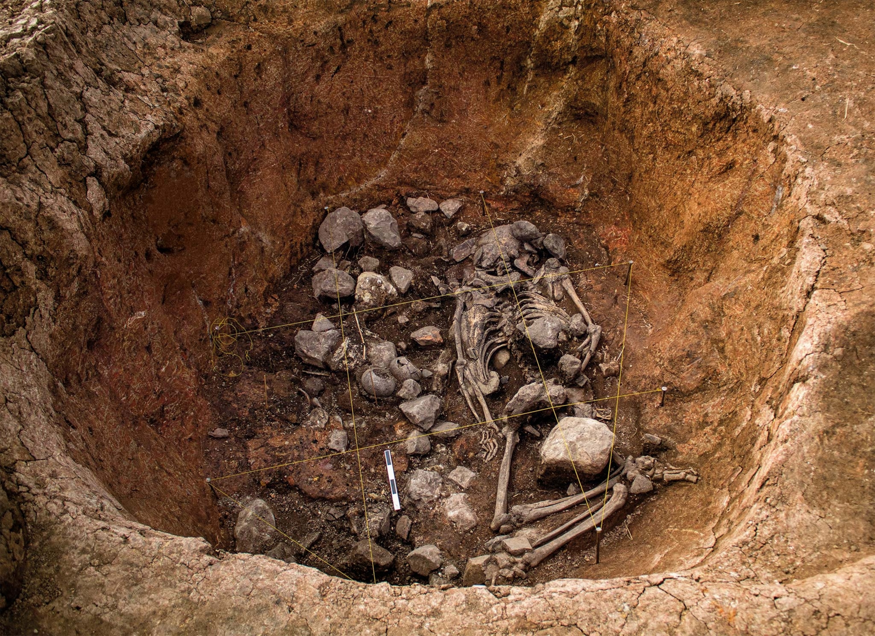 Uncovering the Secrets of the Pacopampa Priest: How a 3,000-year-old tomb upended what we know about ancient Peru