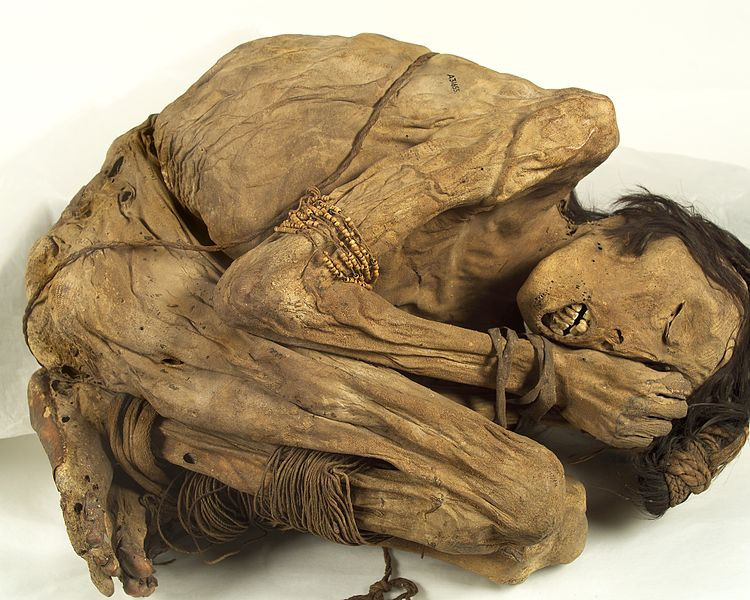 A Window to a Lost World: The Chimu Mummy’s Tale