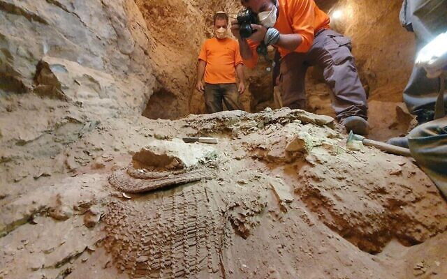 Ancient Treasures Unearthed: World’s Oldest Woven Basket Found in Israeli Cave