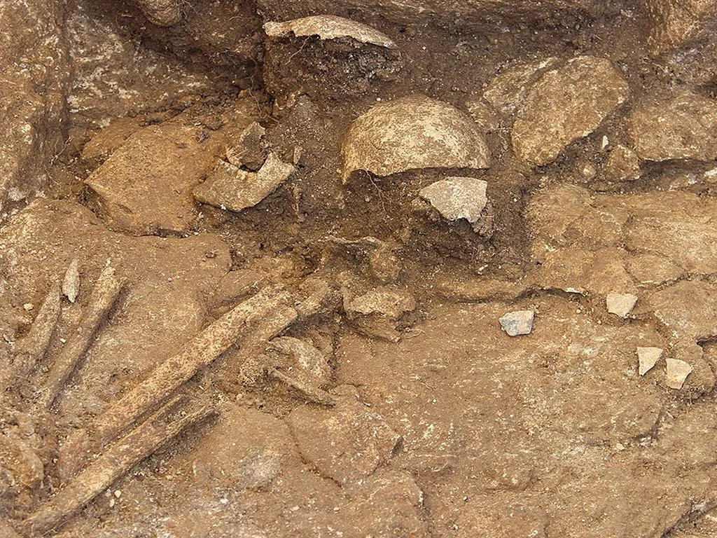 Unveiling the Enigma: Enigmatic Stone Age Burial Ground Reveals Rare Female “Warrior”