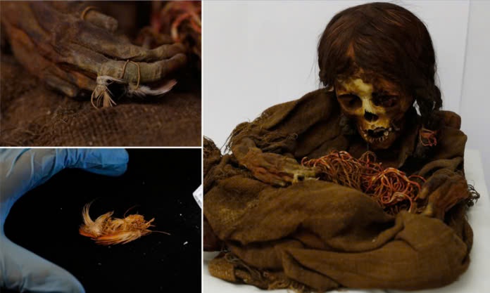 The Homecoming of an Incan Princess: 500-Year-Old Mummy Returns