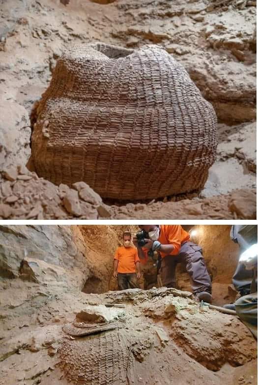 Judean Desert Find: The Remarkable 10,500-Year-Old Woven Basket Unveiled