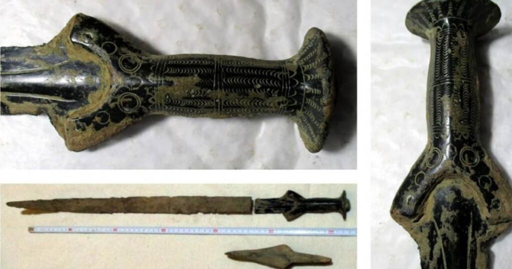 Remarkable Find: Mushroom Picker Stumbles Upon 3,300-Year-Old Bronze Age Sword