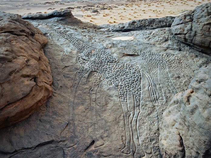 Ancient Wonders: The 9,000-Year-Old Giraffe Carvings of Niger’s Sahara