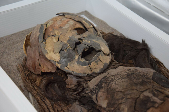 Discovering the Chinchorro mummy: Chile’s 7,000-year-old wonder joins UNESCO’s World Heritage List