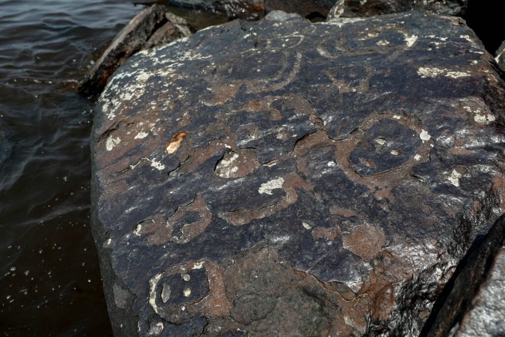 Uncovering the Secrets of Ancient Amazonian Art: 2,000-Year-Old Petroglyphs Revealed by Drought