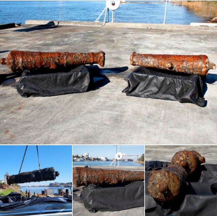 Revolutionary Relics: 12 Cannons Recovered from Savannah River in Historic Find