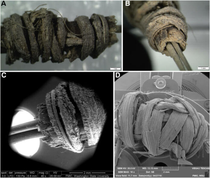 A 2,000-Year-Old Tool Rewrites Our Knowledge of Prehistoric Artistic Practices