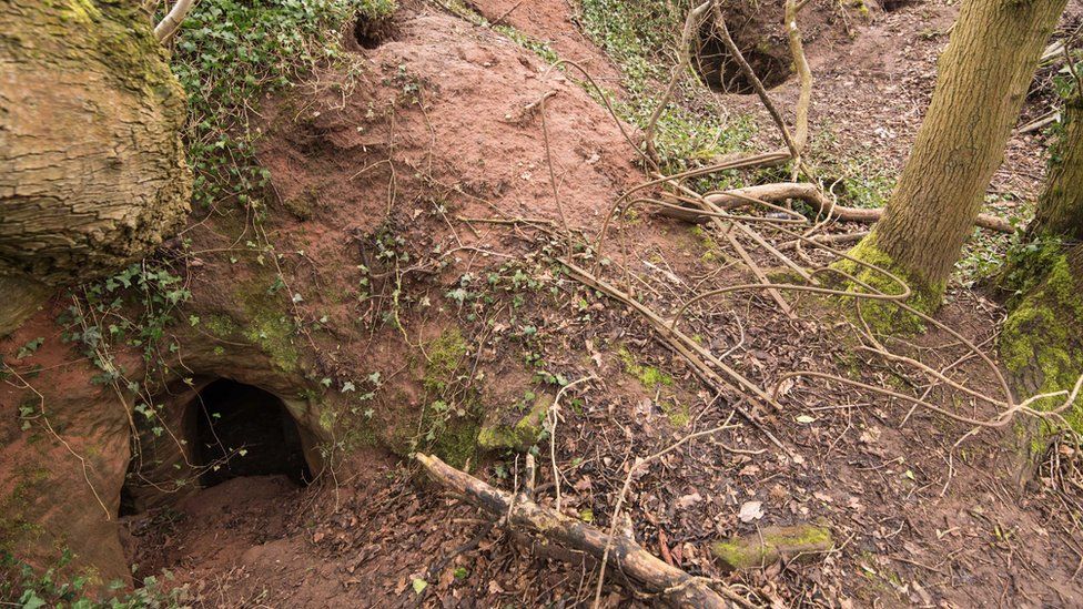 Rabbit hole in farmer's field leads to 'mystery caves' - BBC News