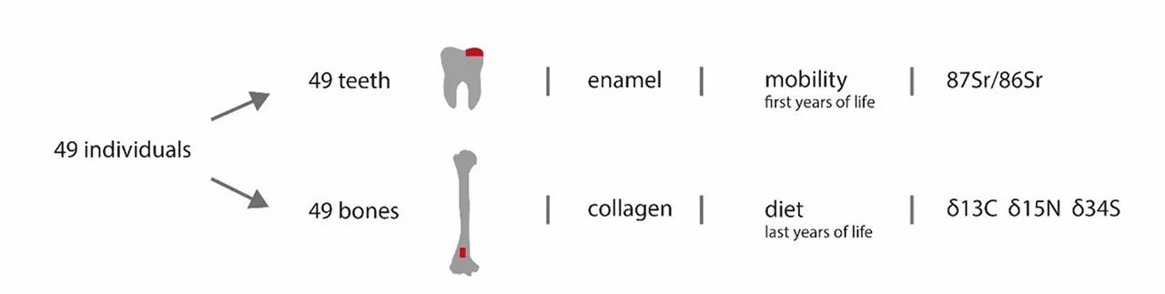 Isotope analysis reveals men and women had equal access to resources 6,000 years ago