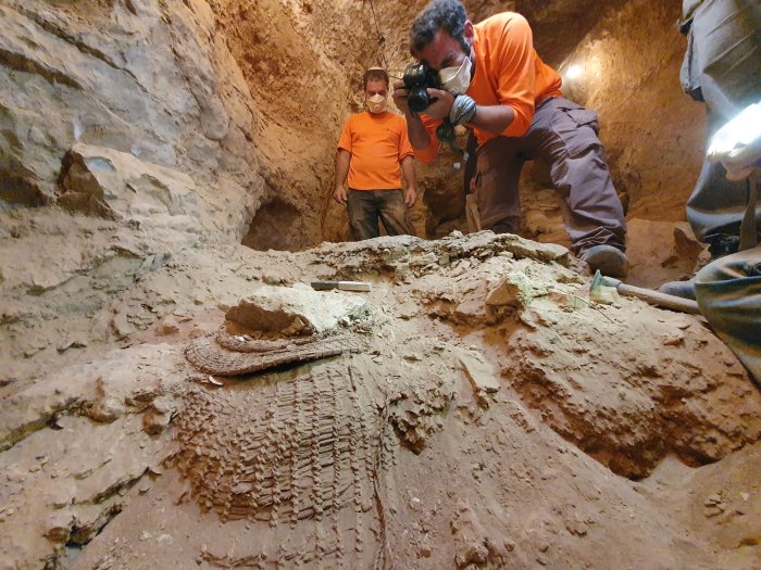 In Photos: Bible fragments, 10,500-year-old basket discovered in Jerusalem - All Photos - UPI.com