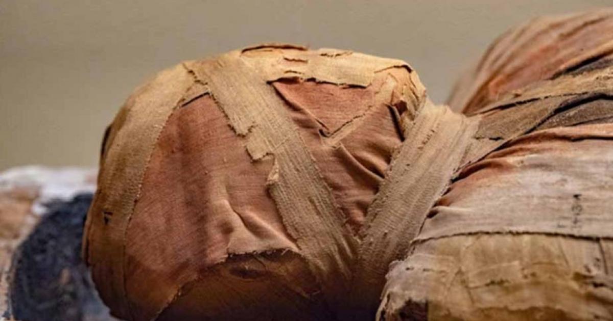 Head and shoulders of an Egyptian mummy