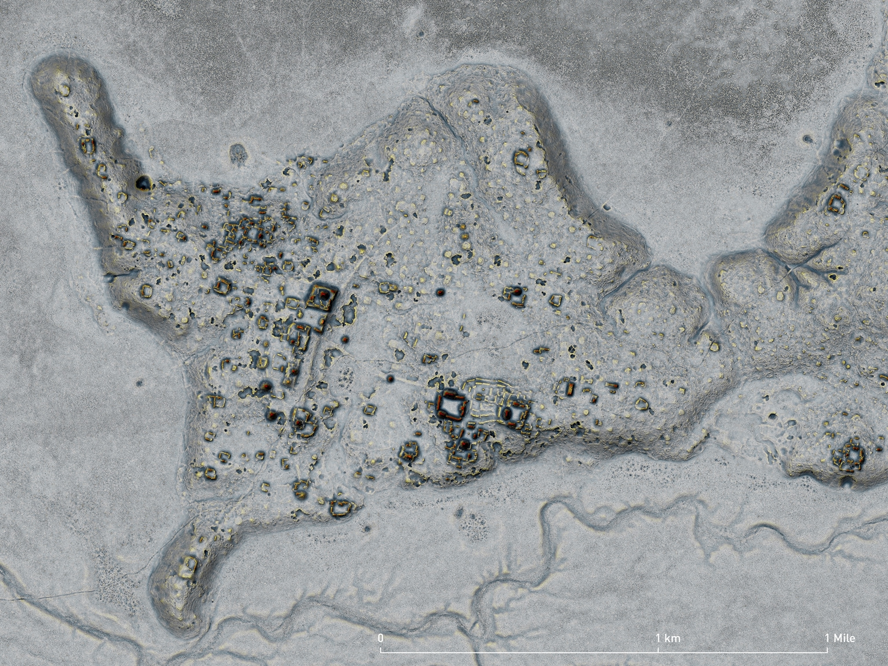 Lidar data visualization of the ancient Maya city of Ocomtún.