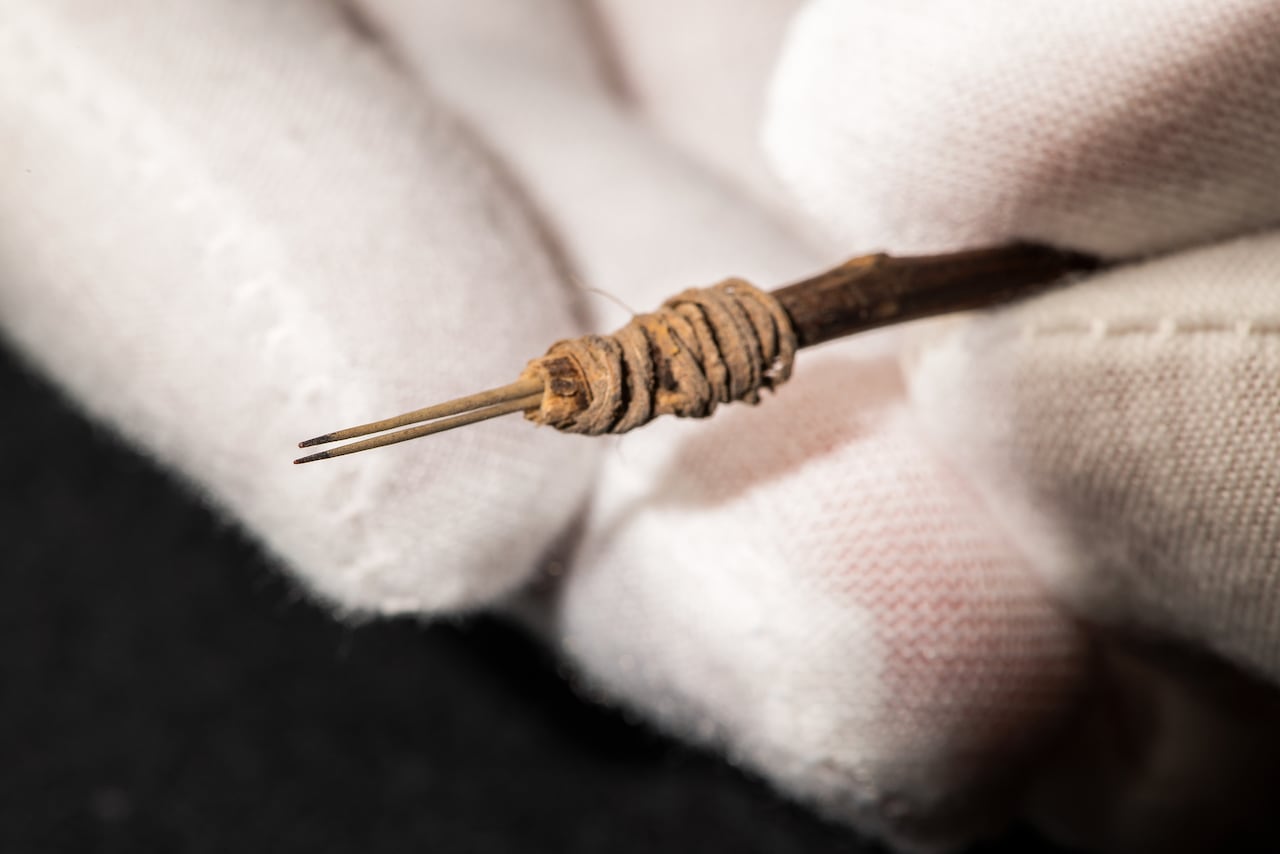 Researchers discover 2,000-year-old tattoo needle made from cactus spines | CBC Radio