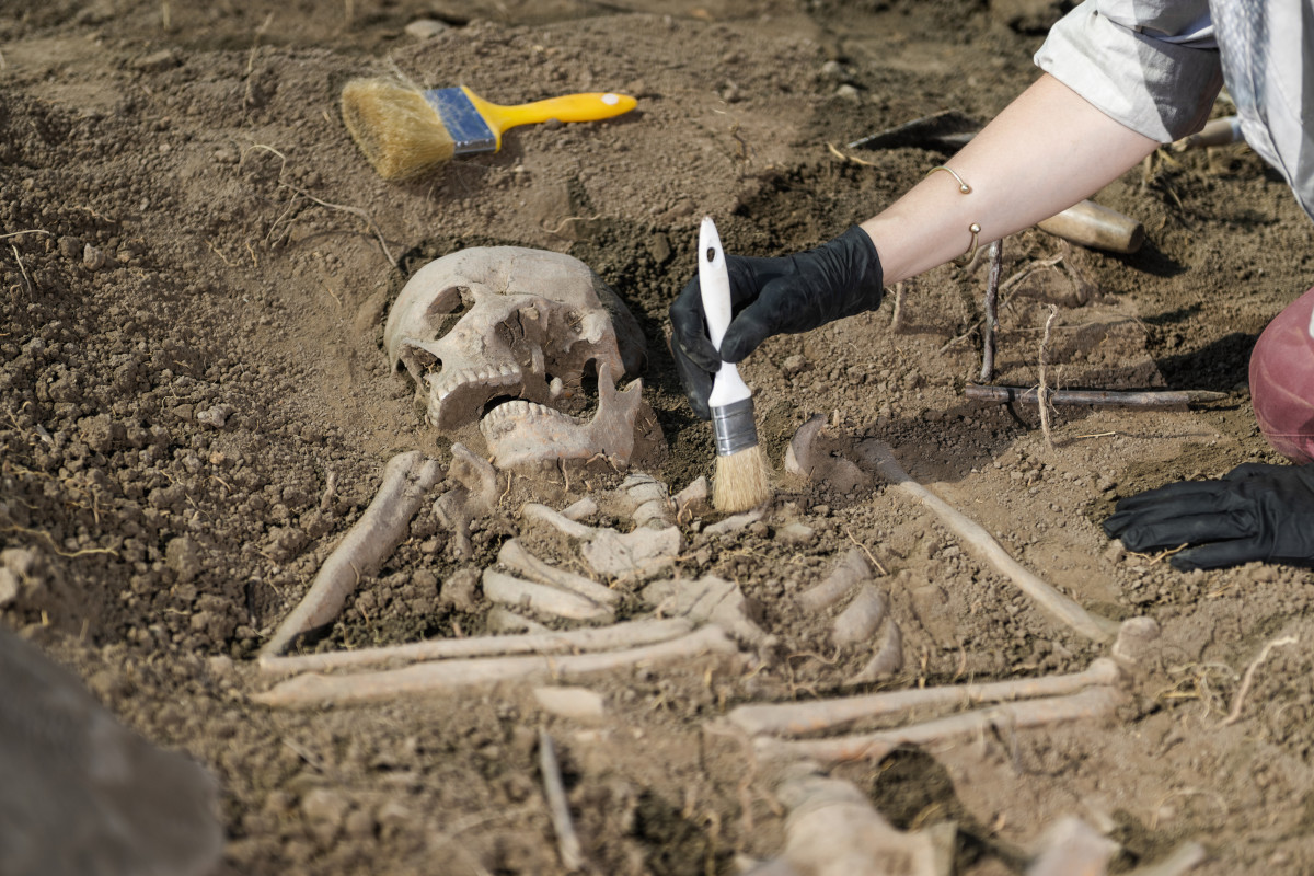 Archaeological excavations. Human skeleton remains found in an ancient tomb.