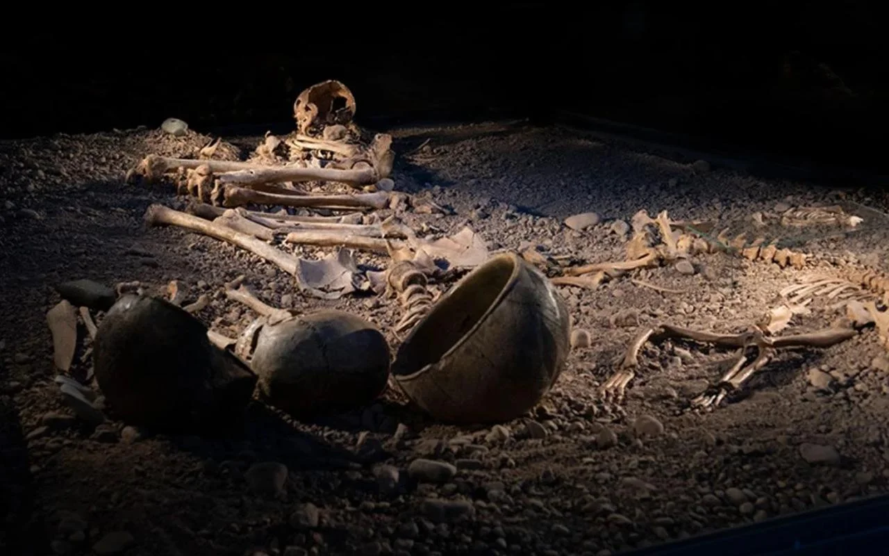 Stone Age Survival: How Bacterial Diseases Posed a Lethal Threat to Early Humans