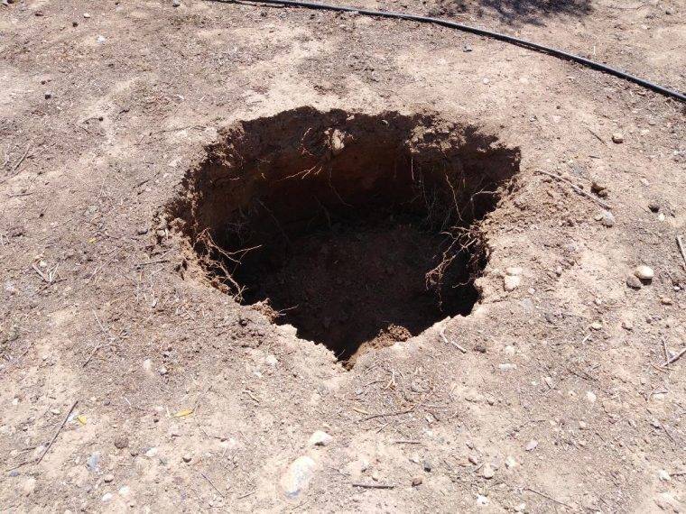 Greek Farmer Stumbles Upon 3,400-Year-Old Tomb In His Olive Grove