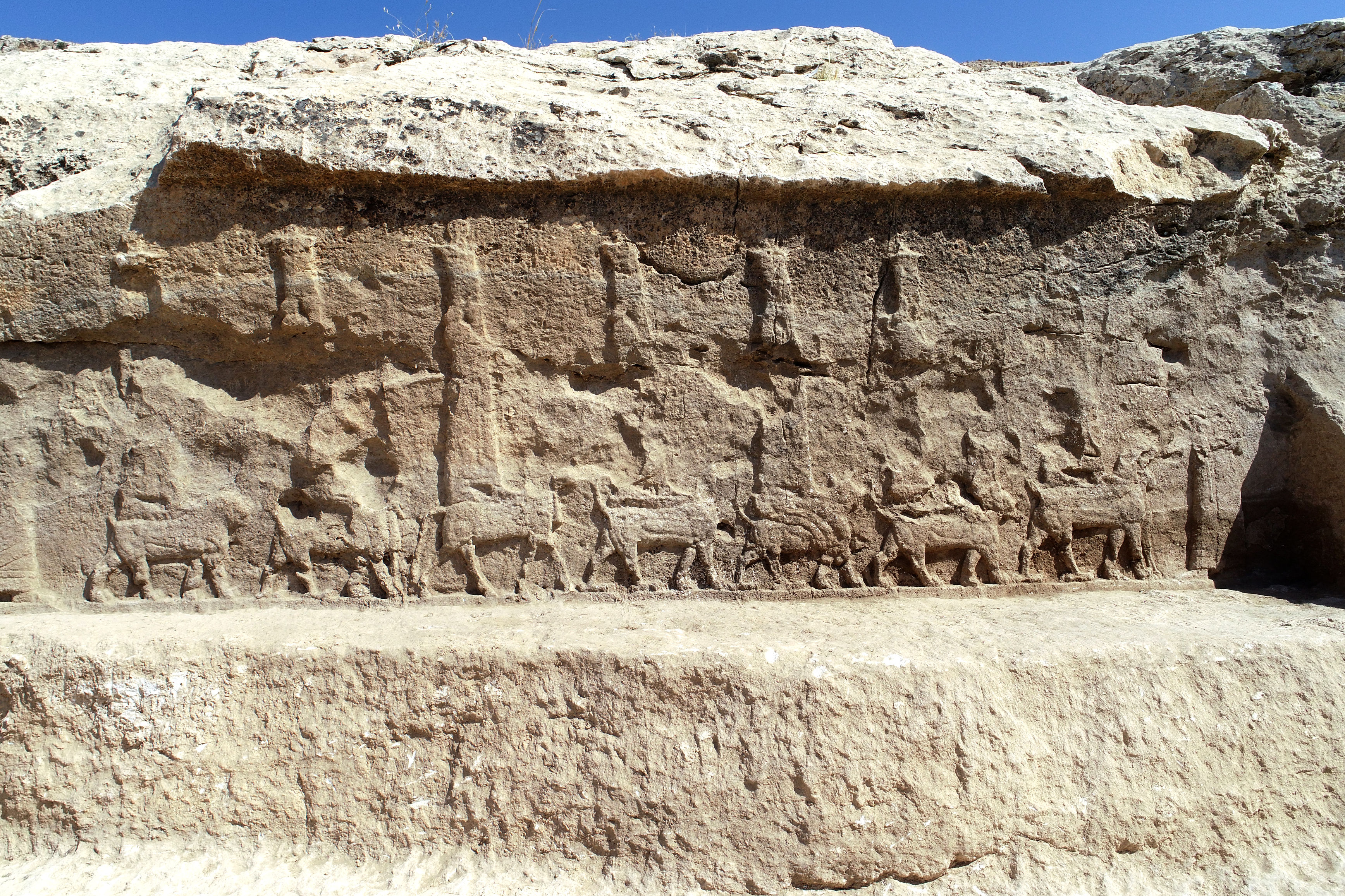 Extremely rare Assyrian carvings discovered in Iraq - www.kneeclinics.co.uk