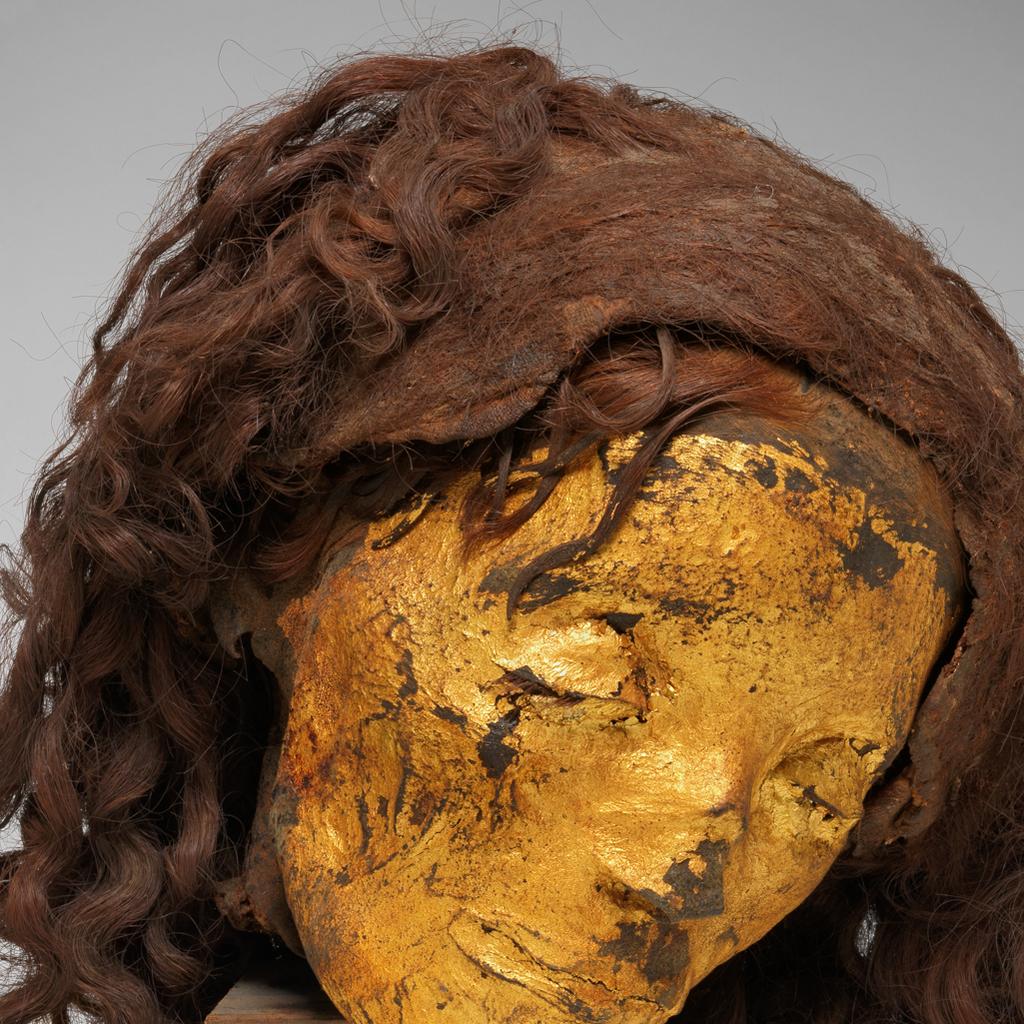 The Fitzwilliam Museum - Egyptian female mummified head with wig