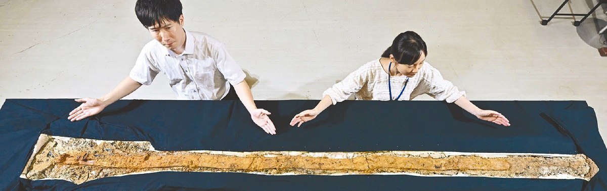 Japan's Largest Iron Sword Shown in Nara after Cleaning - The Japan News