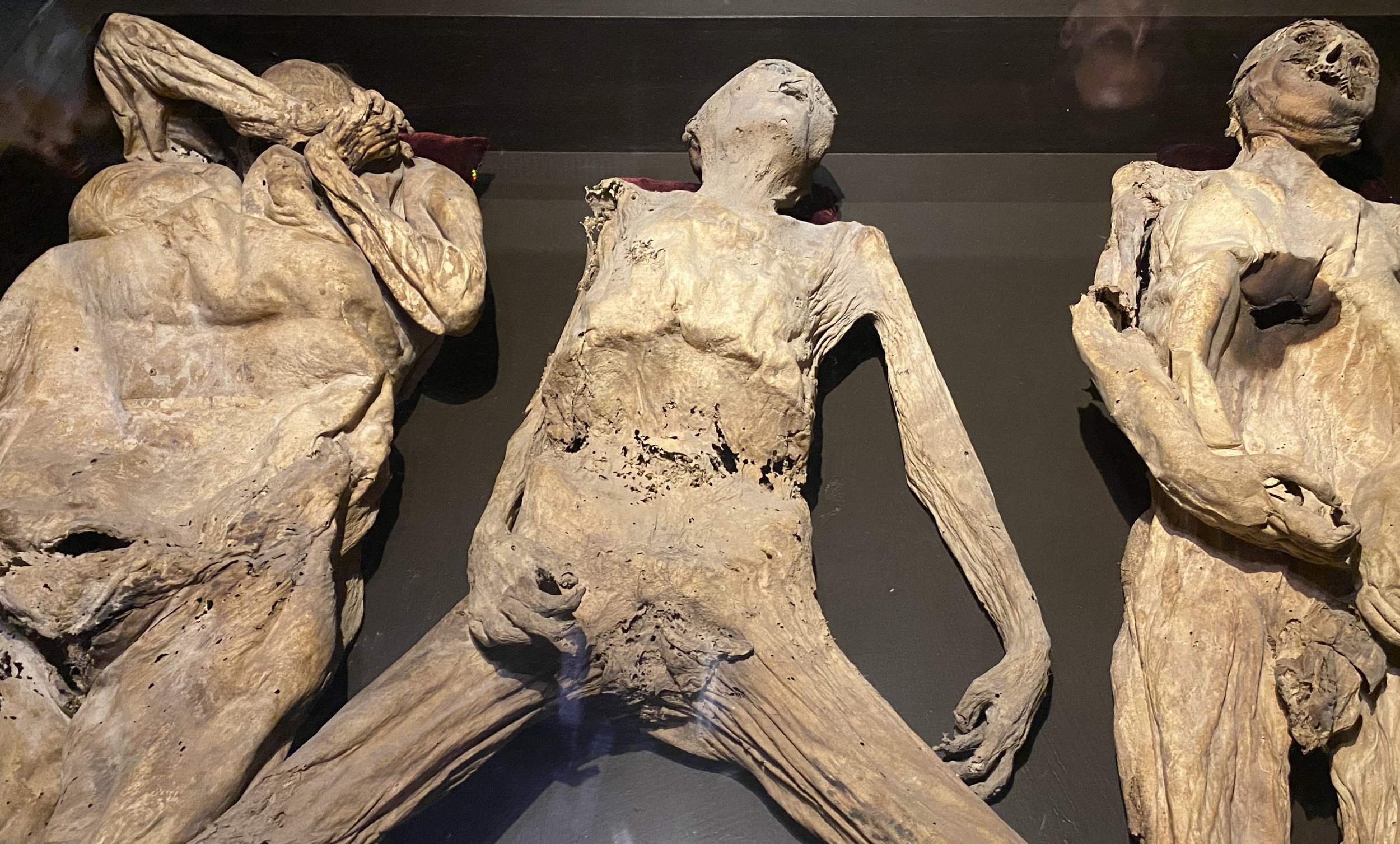 Confronting Mortality: Exploring the Macabre Allure of the Museo de las Momias