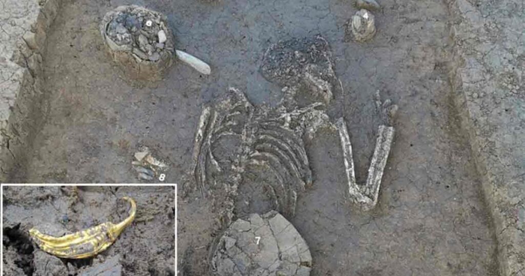 Uncovering the Past: Remarkable 4,800-Year-Old Neolithic Burial Discovered in Germany