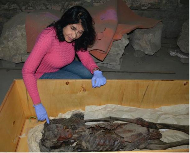 Unveiling the Enigma: ‘Screaming Woman’ Mummy May Have Died in Agony 3,500 Years Ago