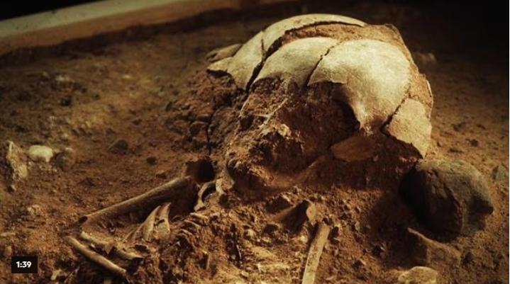 Mystery of 8,000-Year-Old Impaled Human Heads Has Researchers Stumped