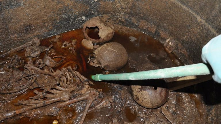 The skeletons of family mummies are discovered in the giant sarcophagus 