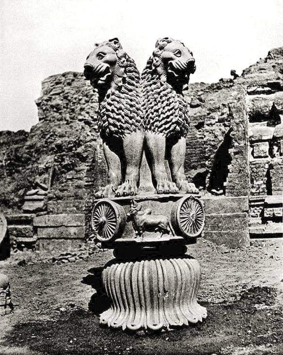 India’s Heritage Unveiled: The Lion Capital of Ashoka, A Symbol of Ancient Glory