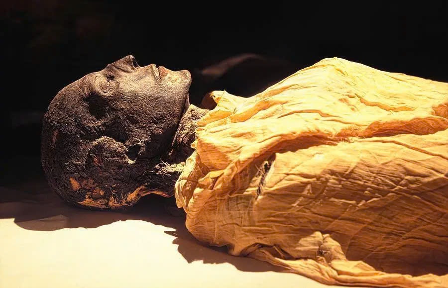 The Enigmatic Mummy of Seti I: A Tale of Ancient Egyptian Royalty