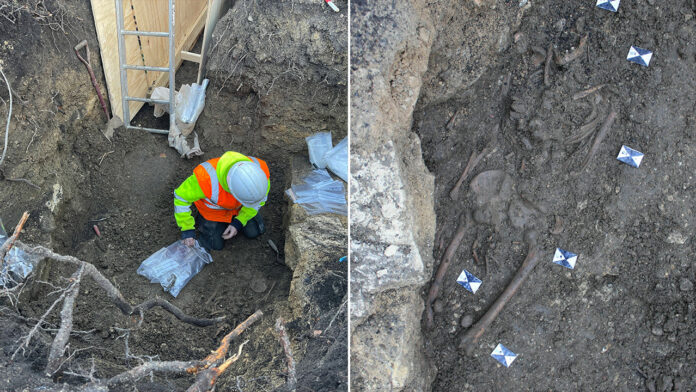 Malmesbury’s Past Revealed: Archaeological Findings Near Malmesbury Abbey