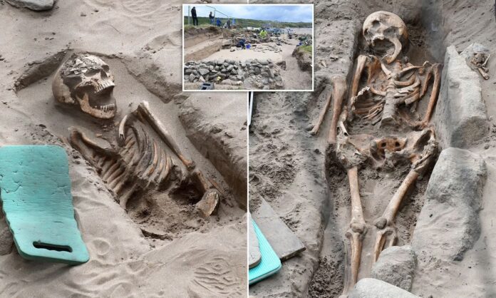 A Glimpse into the Past: 200 Medieval Skeletons Found at Whitesands Bay