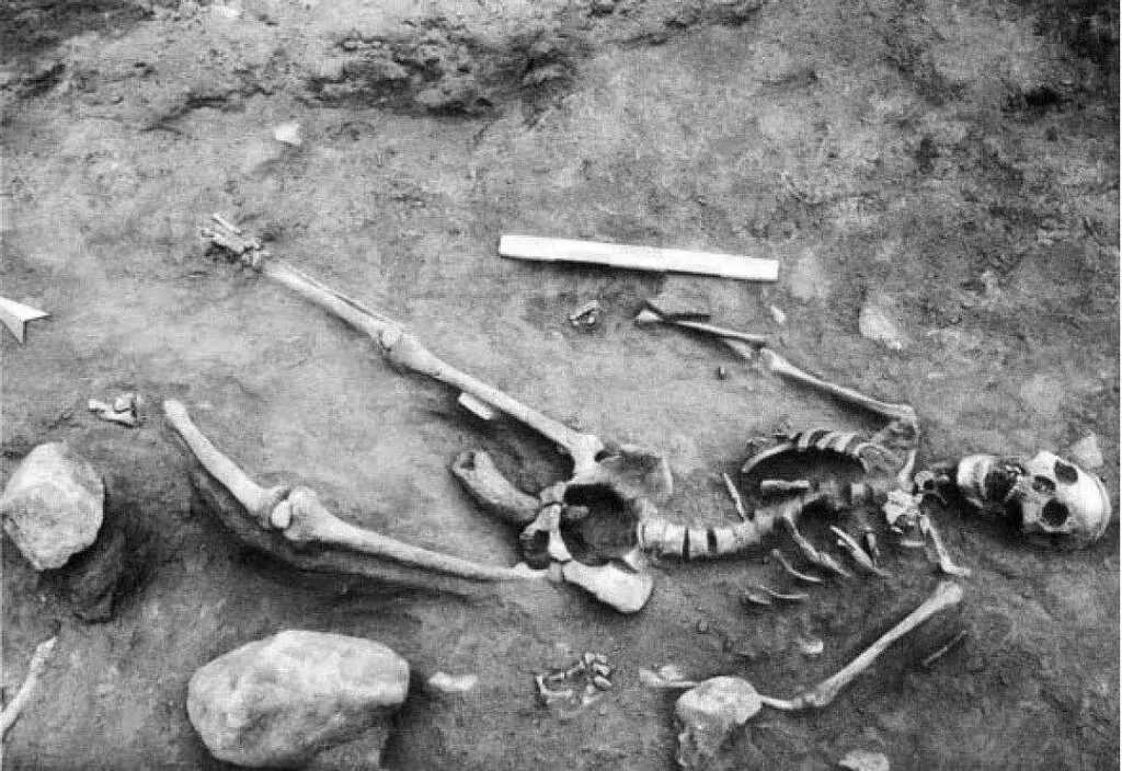 Mysterious Burial at Taosi: A Neolithic Woman with a Cow Horn in Her Pelvis