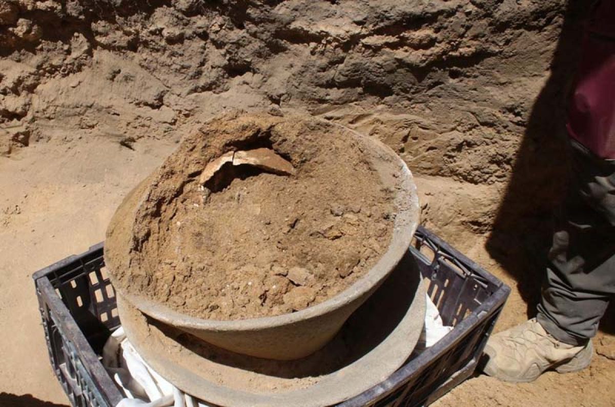 6,000-Years-Old Ivory Vessel Discovered in Southern Israel | The Jewish Press - JewishPress.com | David Israel | 1 Nisan 5784 – Tuesday, April 9, 2024 | JewishPress.com