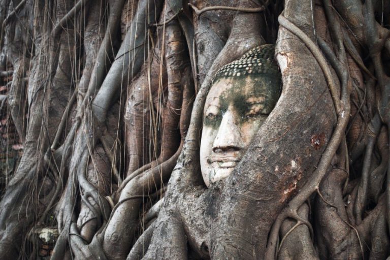 Ayutthaya Thailand • Tagesausflug von Bangkok