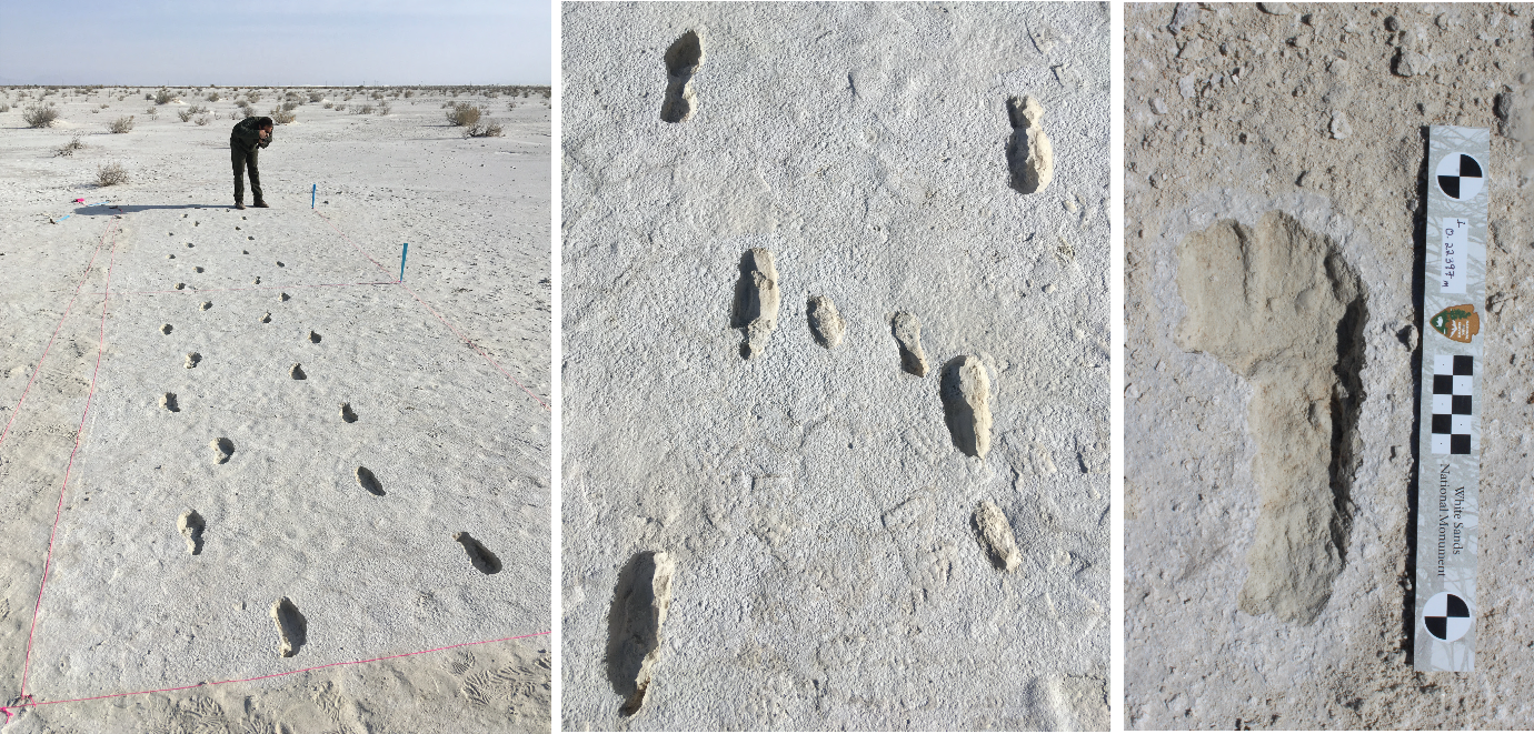 Fossilized Footprints - White Sands National Park (U.S. National Park Service)