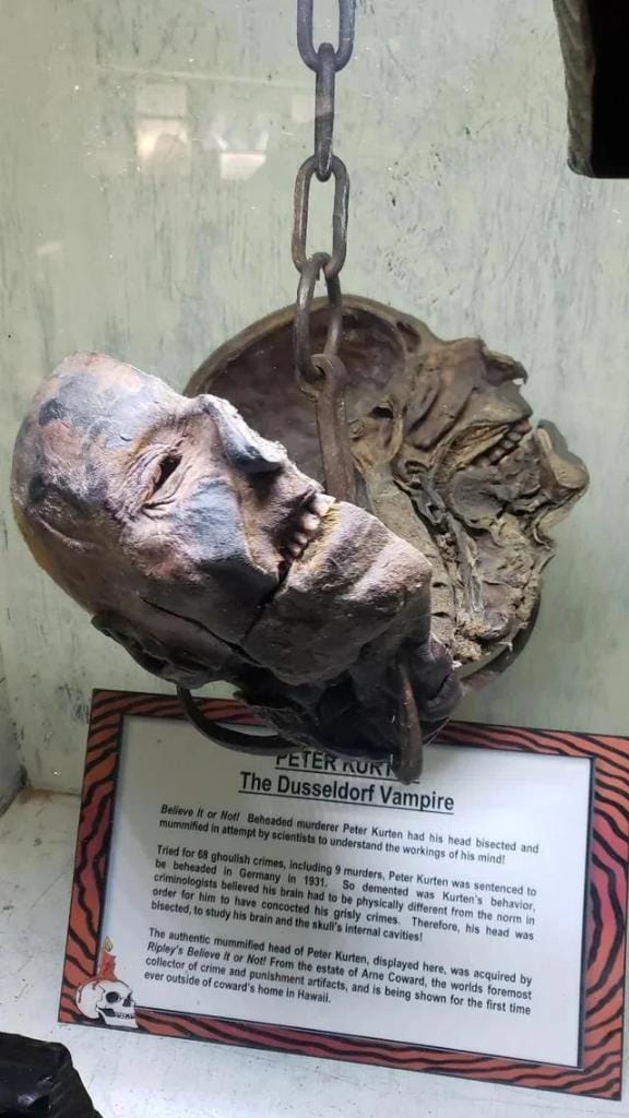 The Gruesome Tale of Peter Kurten’s Head: A Ripley’s Believe It or Not! Attraction