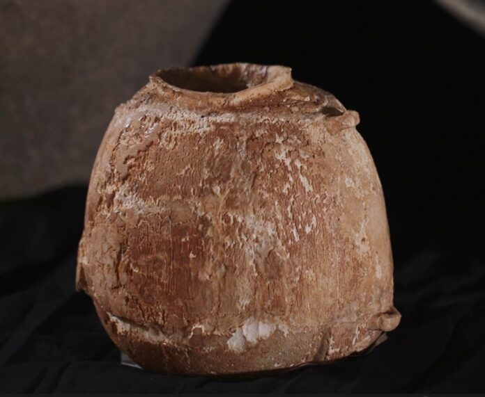 Ivory Vessel from 6,000 Years Ago Unveils Chalcolithic Cultural Practices