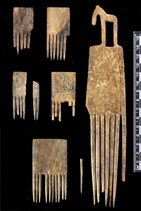 Why were Afro combs found in ancient Egyptians tombs? - Quora